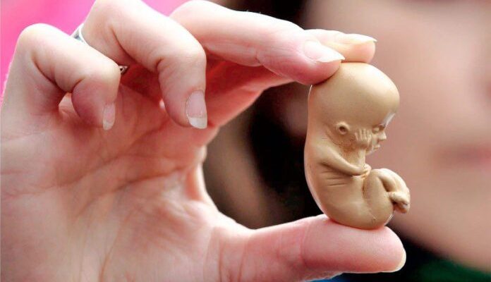 Maioria da bancada capixaba é a favor do PL da Gravidez