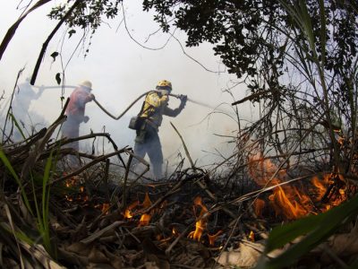 Governo Federal destina R$ 137 milhões em crédito extraordinário para combate a incêndios no Pantanal