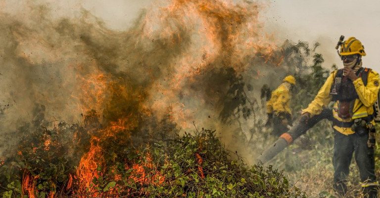 Polícia Federal investiga 18 focos de incêndio no Pantanal