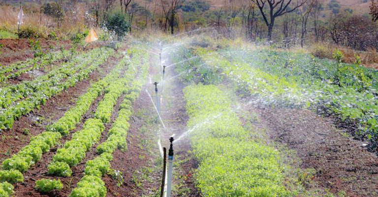 Presidente ouve demandas e contribuições do MST em reunião na Granja do Torto
