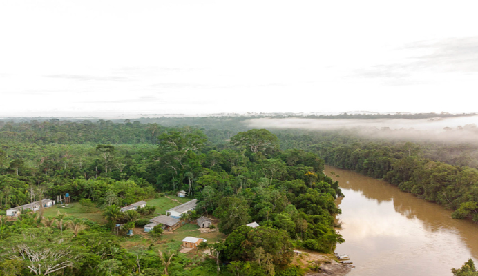 Governo Federal registra queda expressiva do desmatamento na Terra Indígena Karipuna e conclui processo de desintrusão da área
