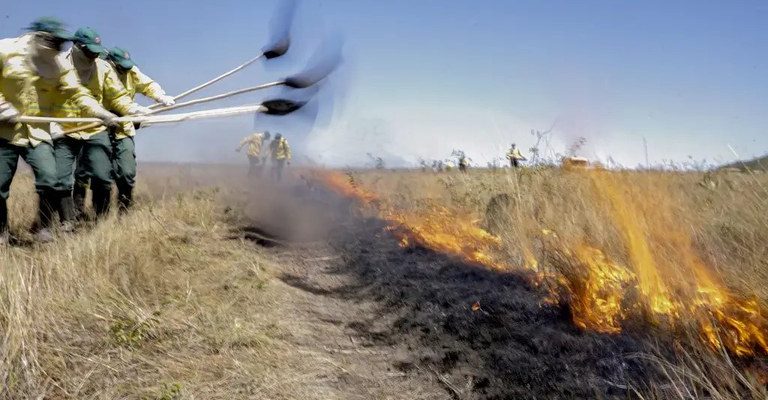 Governo Federal autoriza contratação de brigadas temporárias em vinte unidades da Federação