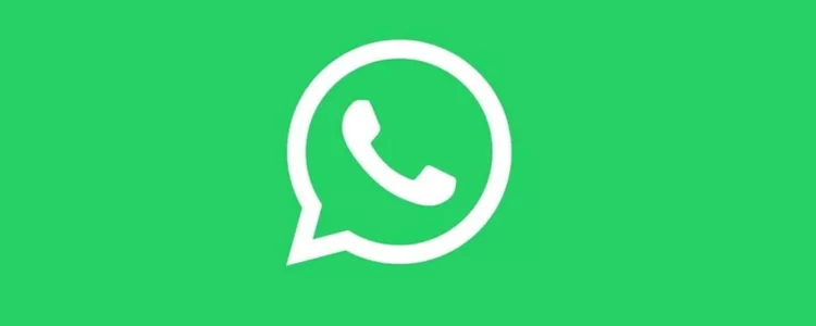 Exaurido com o WhatsApp? Descubra outras plataformas de comunicação