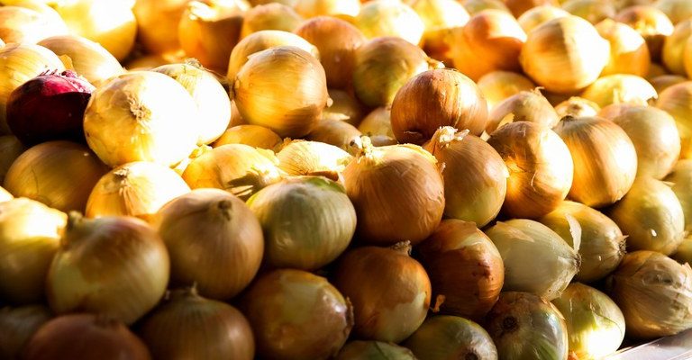 Hortaliças ficaram mais baratas nas Ceasas em agosto