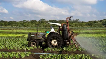 Estiagem e queimadas impulsionam elevação dos preços dos alimentos