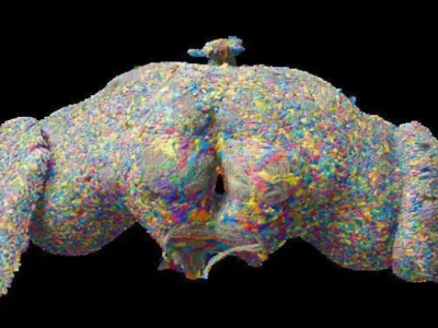 Cientistas realizam o mapeamento integral do cérebro de um animal pela primeira vez