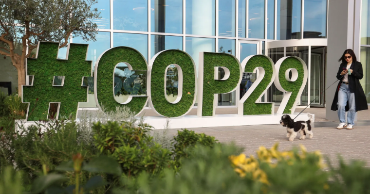 A Importância da COP29: Um Marco para o Futuro Climático