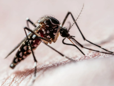 Estudo brasileiro utiliza nanotecnologia para detectar dengue, zika e chikungunya