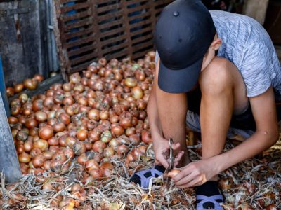 Governo Federal afasta cerca de 4.500 crianças do trabalho infantil em dois anos