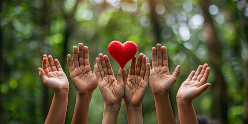 Dia Internacional dos Voluntários para o Desenvolvimento Econômico e Social