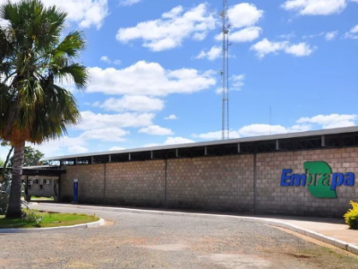 Embrapa Prorroga Prazo de Inscrições em Concurso com Salários que Alcançam R$ 12 Mil