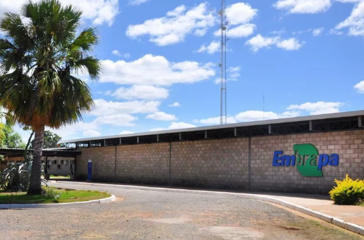 Embrapa Prorroga Prazo de Inscrições em Concurso com Salários que Alcançam R$ 12 Mil