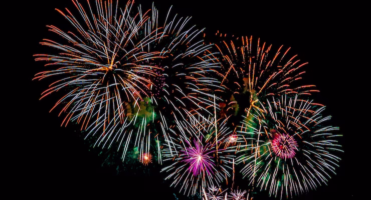 Proprietário de Chácara Condenado por Morte de Cavalos em Decorrência do Uso de Fogos de Artifício