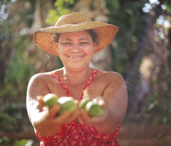 Governo abre sistema do PAA para compras da agricultura familiar