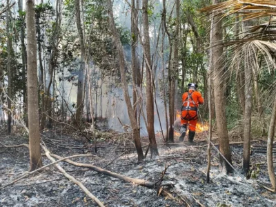 Focos de incêndio em vegetação no norte do ES mais que dobram nos dois primeiros meses de 2025 – Folha Vitória