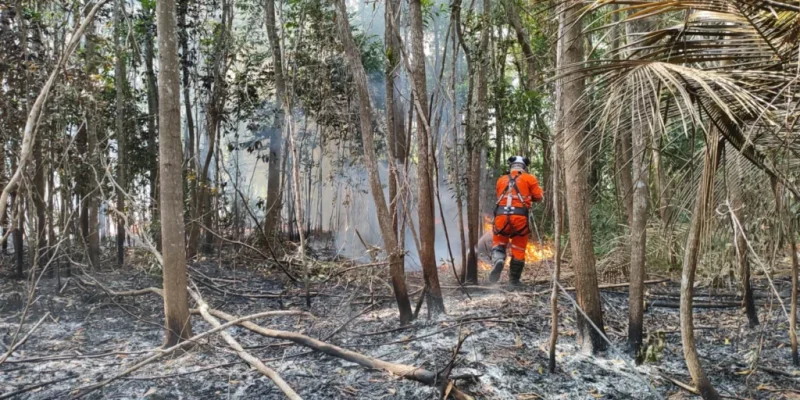 Focos de incêndio em vegetação no norte do ES mais que dobram nos dois primeiros meses de 2025 – Folha Vitória