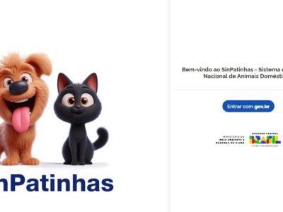 RG para cães e gatos: tire dúvidas sobre a nova ação do Governo Federal