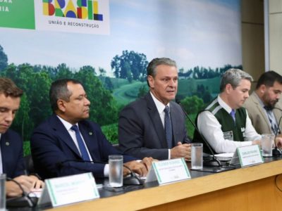 Brasil descarta três casos suspeitos de gripe aviária e reafirma robustez do sistema sanitário