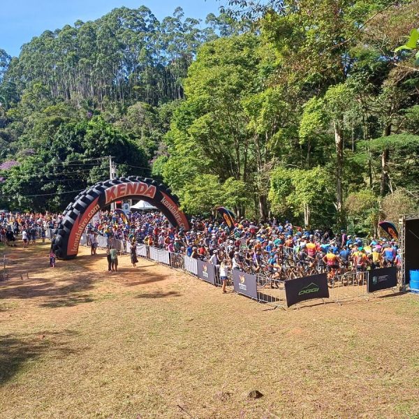 Meio Ambiente: A Urgência de Cuidar do Nosso Lar Meio Ambiente: A Urgência de Cuidar do Nosso Lar