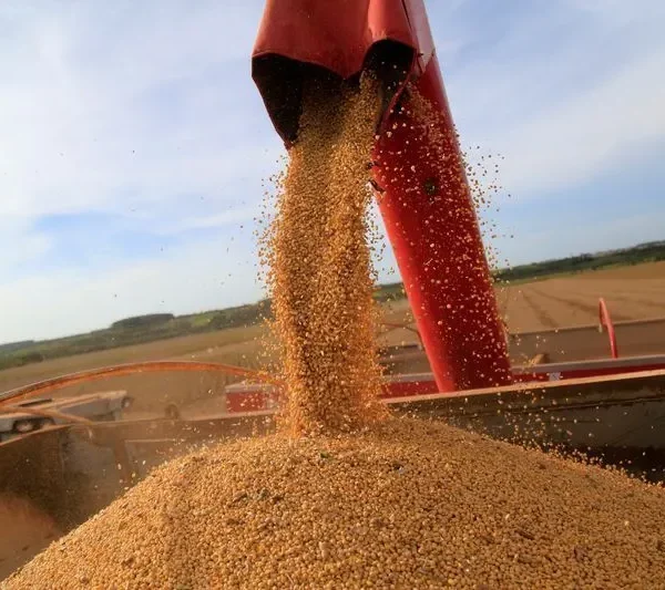 Taxação de LCAs: Um Alerta para o Financiamento Rural e o Equilíbrio Econômico no Campo
