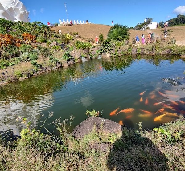 Vendo Seis  Hectares Em Ibiraçu Próximo Monomento Do Buda