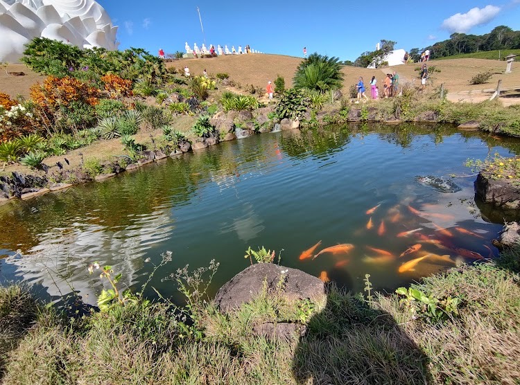 Vendo Seis Ectares Em Ibiraçu Próximo Monomento Do Buda