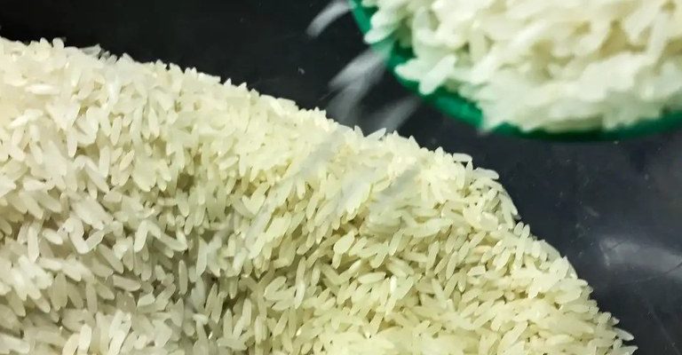 Governo do Brasil anuncia R$ 300 milhões para apoiar produtores de arroz da Safra 2025/2026