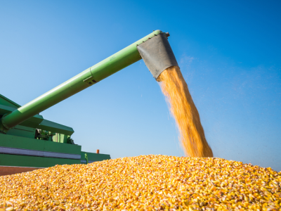 Brasil projeta recordes em grãos e proteínas, impulsionado por crédito rural e políticas públicas