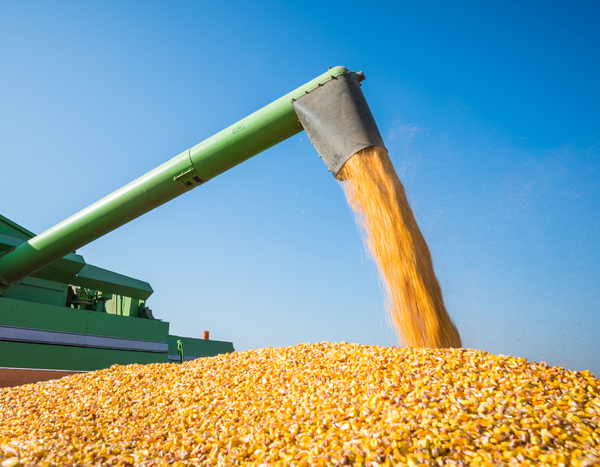 Brasil projeta recordes em grãos e proteínas, impulsionado por crédito rural e políticas públicas