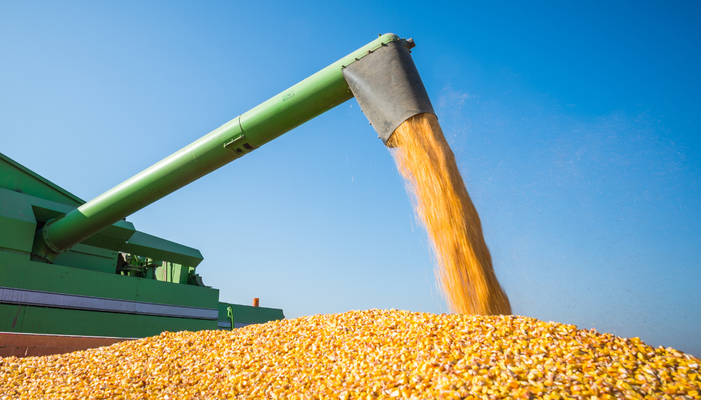 Brasil projeta recordes em grãos e proteínas, impulsionado por crédito rural e políticas públicas