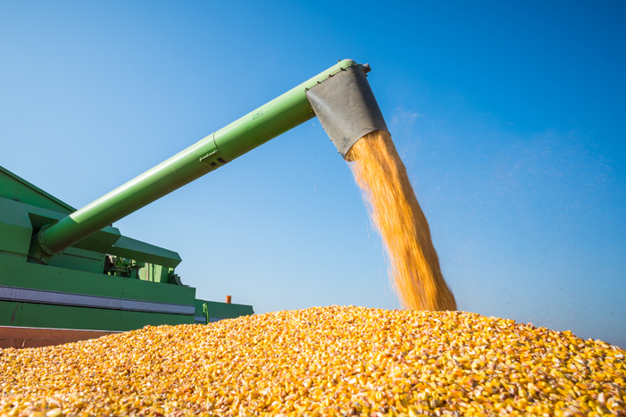 Brasil projeta recordes em grãos e proteínas, impulsionado por crédito rural e políticas públicas