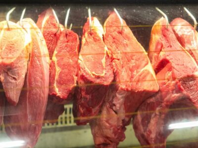 Governo do Brasil chega à abertura de 500 novos mercados desde 2023