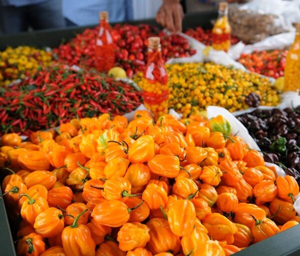 Feira Brasil na Mesa leva a diversidade dos alimentos nacionais ao consumidor